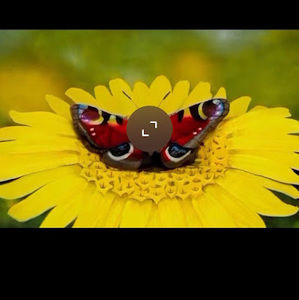 Meet your Posher, Angel